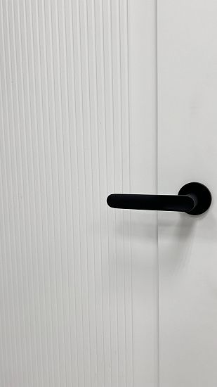 Межкомнатная дверь  